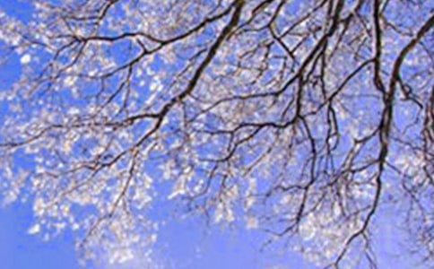 2025��ʵ�õ����ݶ���ľ���17��