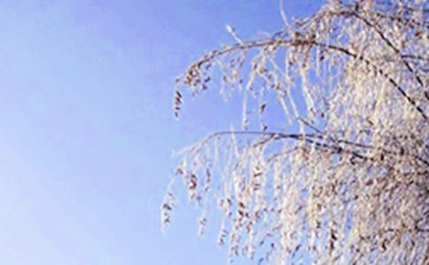 ��д���쾰ɫ�ĳ���ر�10ƪ��