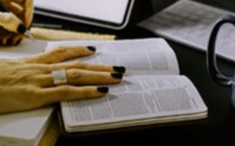 �����顷����з���600��