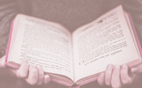 423����������İ�