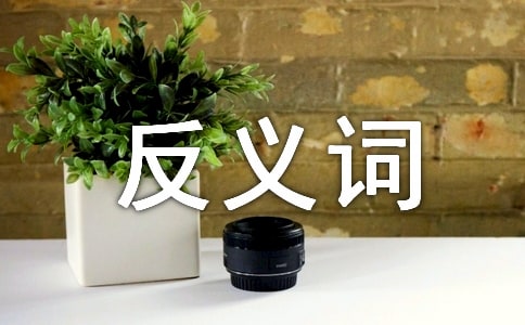 �йط���ʽ̰�