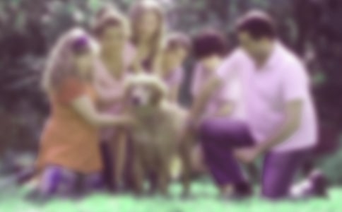 �����ϼ�ѵ���еļ�ͥ����˼����ִ�����ʾ