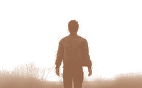 �����꡶��ʫ�����ӽ�ѡ���Ķ���