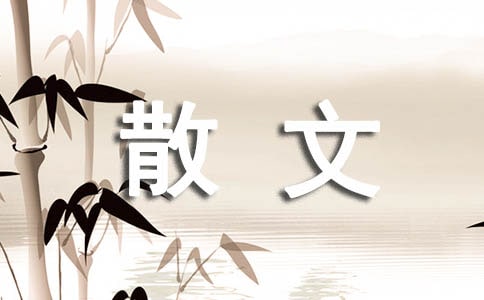 ��ʳ��ɢ�����