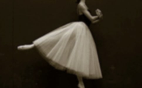 ��СӢ�ۺͰ��ٹ����������15ƪ[����]