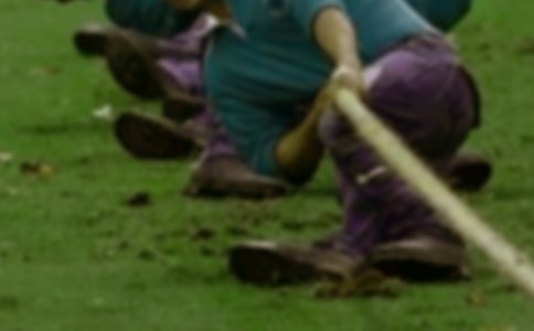 精彩的拔河比赛作文【荐】