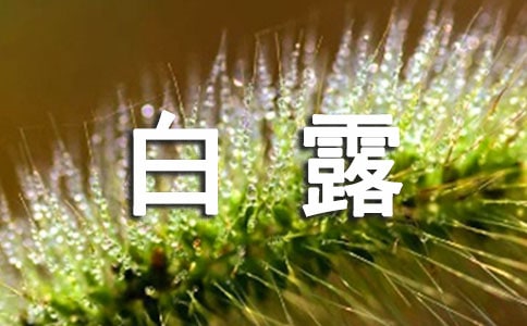 赞美白露节气的句子