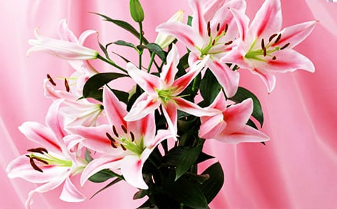 ��ϲ���ٺϻ�������