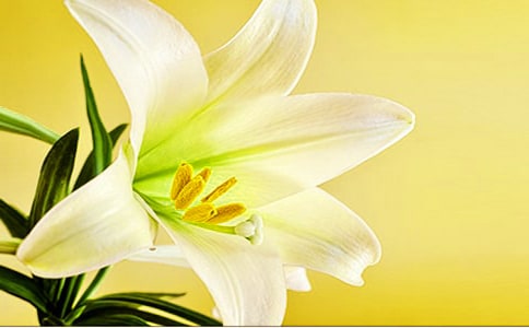 ��ϲ���ٺϻ�����(12ƪ)