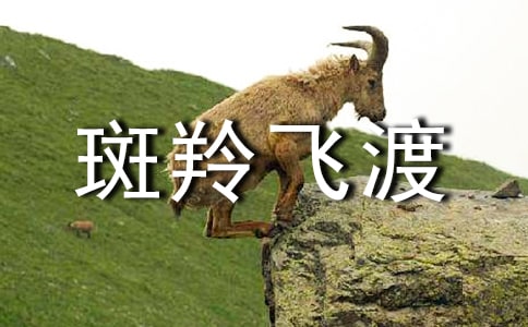 《斑羚飞渡》说课稿