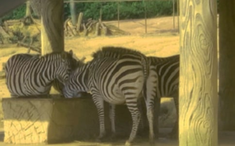 ����������(15ƪ)