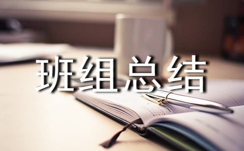 (精)班组总结范文