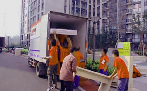 【热门】蚂蚁搬家作文