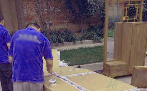 有趣的蚂蚁搬家作文