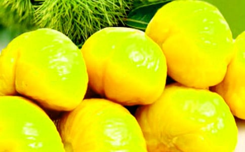 捡板栗作文(通用37篇)