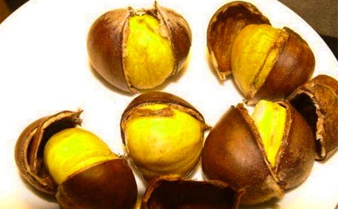 我爱家乡的板栗作文