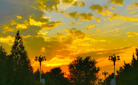 傍晚的夏天作文