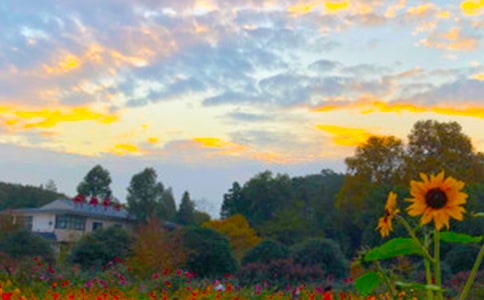 【热】乡村的傍晚作文