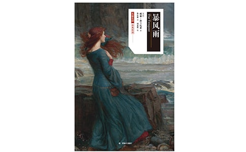 【精华】暴风雨的作文