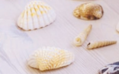 �񱴿����ľ�Ʒ(11ƪ)