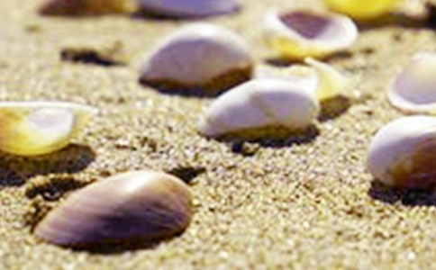 ���Ǵ�����