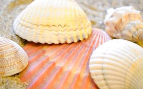 �ڱ�������