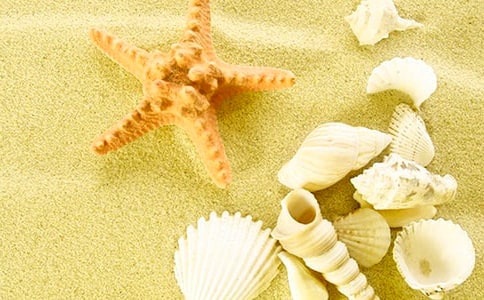 �񱴿�����15ƪ