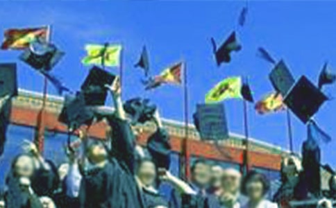 ҽѧ��ҵʵϰ�ܽ�11ƪ