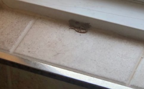 С�ڻ���β�ͷ�д����