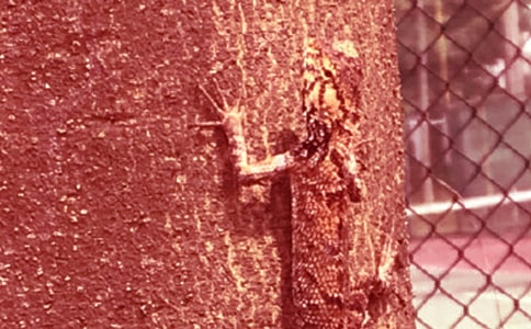 �����ڻ�������