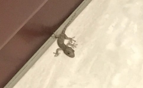 �ڻ����ҵ���ʾ����