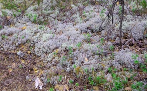 �±������ġ�����