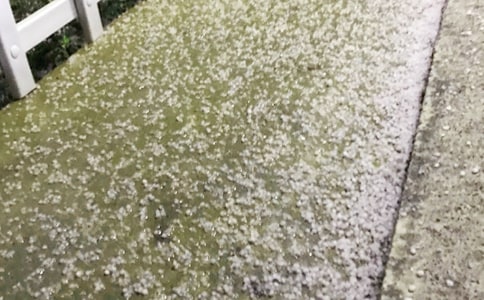 �����š��±�������