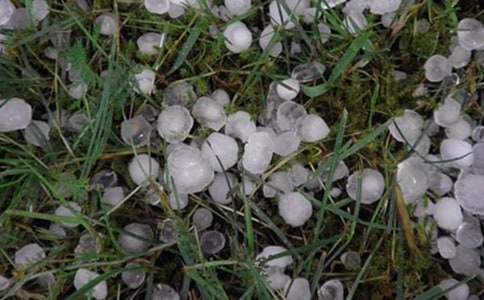 ���������ļ���15ƪ