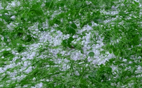 �±�������