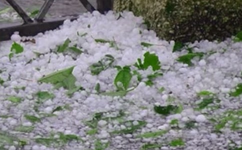 �������±�������