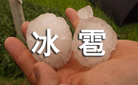 �±������ļ���15ƪ