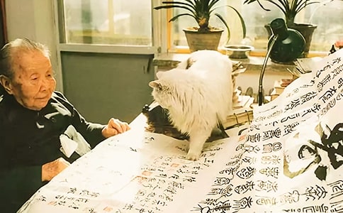 冰心作品读书心得体会