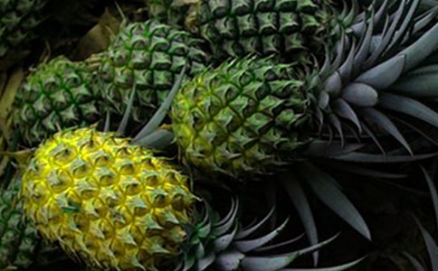 �Ұ��Բ��ܵ�����(8ƪ)