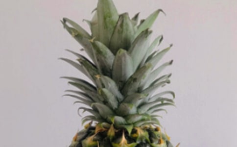 [�ϼ�]���ܵ�����