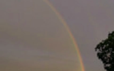 ���еĲʺ����Ľ�����15ƪ��