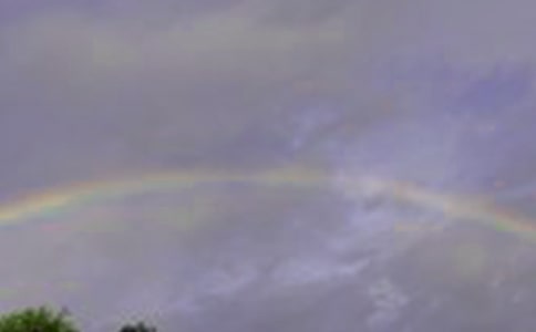 【荐】美丽的彩虹作文