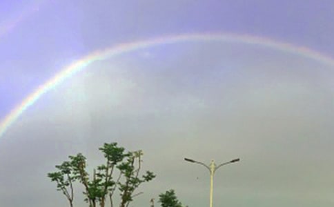 心中的彩虹作文常用(15篇)