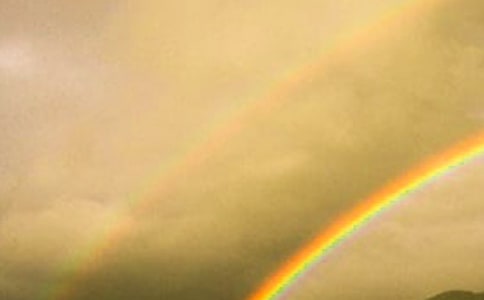 最新心中的彩虹作文