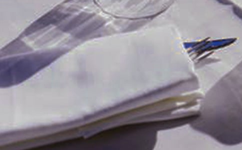 一张餐巾纸的旅行作文