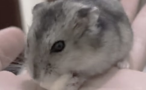 �ҵĲ������ģ�����15ƪ��