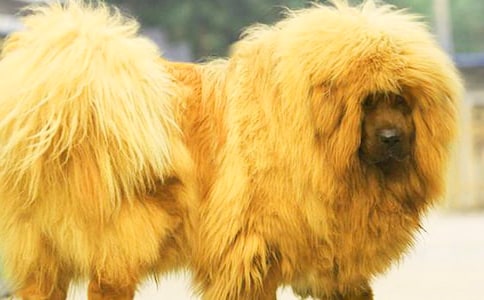 ��ҡ�����ᡷ�ۺ��