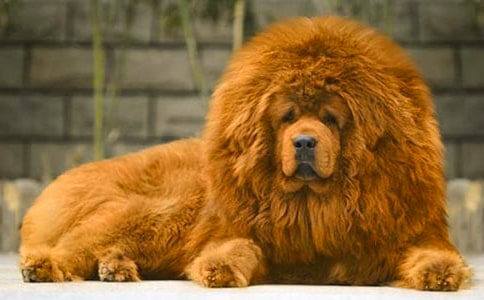 ����༪����3ƪ