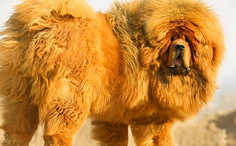 ����༪����(3ƪ)