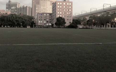 操场上的欢笑作文